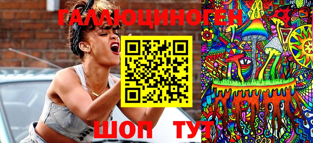 Галлюциногенные грибы Psilocybine cubensis  Вход с VPN  Северобайкальск  Псилоцибиновые грибы Cubensis 
